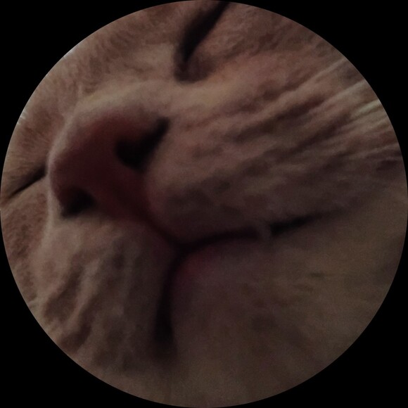 catcolors